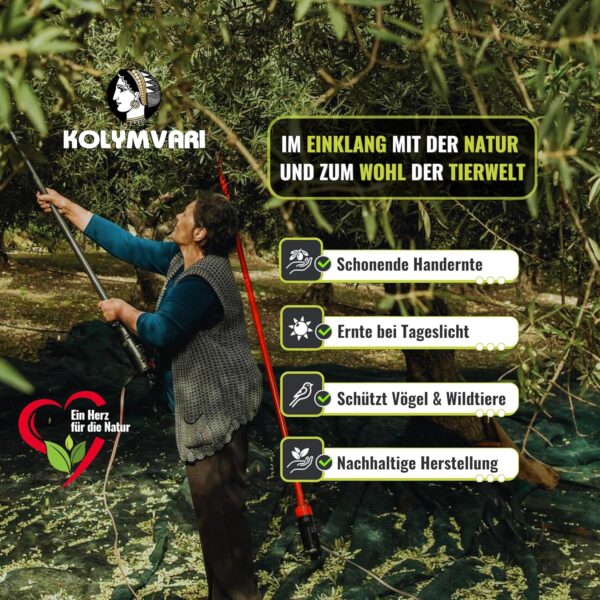 Kolymvari P.D.O. Premium Olivenöl – 5L Kanister – Extra Nativ aus Kreta | 100% Koroneiki Oliven | Kaltextraktion & Handernte | Nährstoffreich und naturrein | Höchste Qualität mit niedrigem Säuregehalt für Gesundheit und Geschmack - Image 4